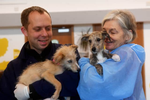 Tom Dresser and Kirsty Lewis with Badger and Bunny at Leeds Dogs Trust.