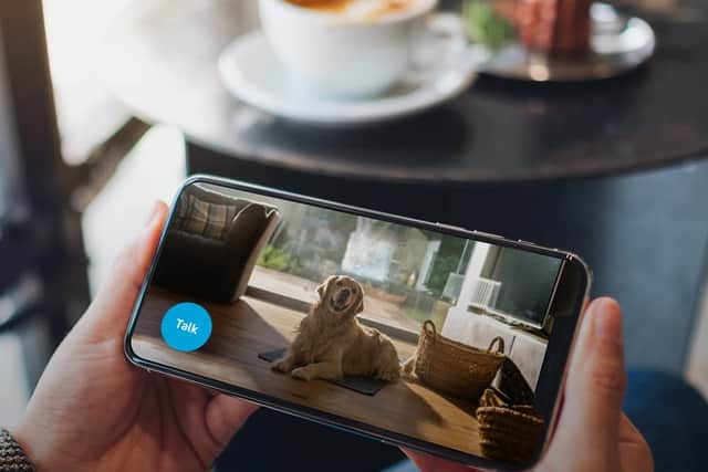 Want to talk to your dog from work? Now it costs less than a takeaway