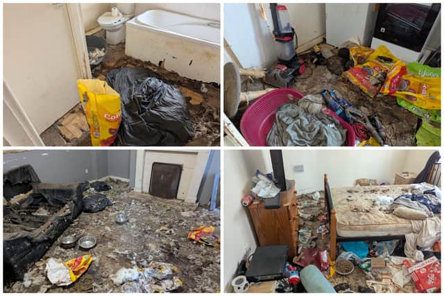 The animals were found trapped in grotesque, unsanitary conditions.