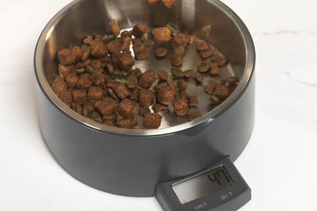 Simple but brilliant - the Salter Digital Pet Food Scale doesn't really need to exist, but Gareth's very glad it does