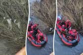 Video grab of the dramatic moment a dog called Lucky is saved from fast-flowing river rapids after being abandoned.The mobile phone footage shows the one-year-old pointer-labrador stranded on the steep, muddy, and overgrown riverbank next to the River Dearne, in Barnsley, South Yorkshire.