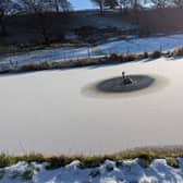 The RSPCA have shared some of their wild and weird rescues that took place in 2025, including the tale of a Swan stuck in ice here in the city.