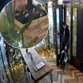 CCTV shows moment brazen thief steals DJ equipment in broad daylight.