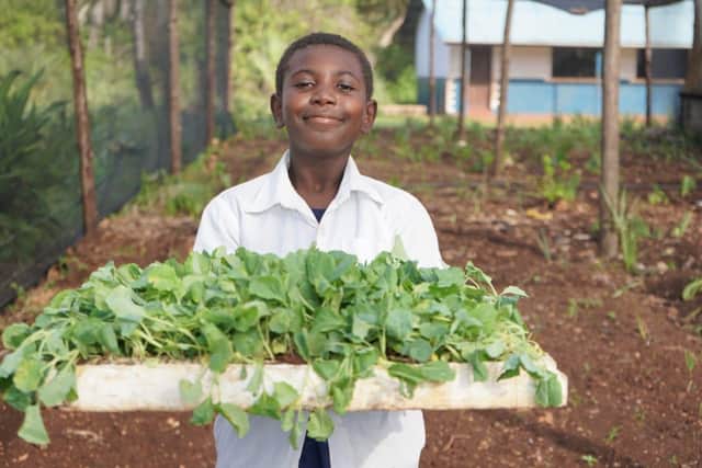 From an early age charity’s farm school teaches people to grow their own food and also to generate income for their families