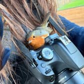 Fay Wadsworth say she was 'blessed' by a robin at Yorkshire Wildlife Park, who sought warmth by landing in her hair. 