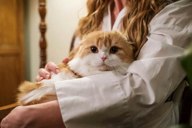 Pets in the home can increase heating costs, but thinking creatively about Winter Fuel Payment can make warmth and comfort go further (Photo: Pexels)