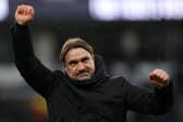 Daniel Farke celebrates victory over Derby County.