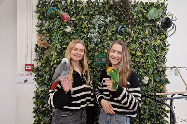 Feathers & Tails first opened in 2023 and works to find exotic animals their perfect home