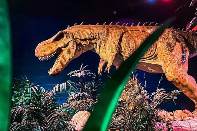 Volcano Falls Adventure Golf offers an immersive world of adventure, featuring prehistoric dinosaur landscapes, waterfalls, and volcanic scenery.   