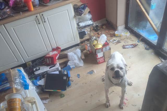 11-year-old Sasha was reported as being "extremely underweight" by neighbours of Benjamin Cobb in Casleford