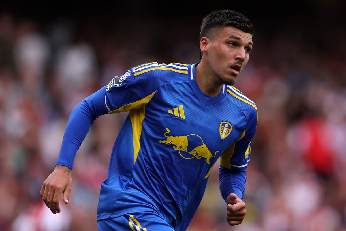 Loan request for Leeds United striker prompts bemused response to bizarre ...