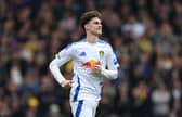 Harry Gray is ready for the pressure of a League One relegation battle.