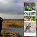 The RSPB Big Garden Birdwatch is the world’s largest garden wildlife survey, an annual event that transforms regular bird-lovers into citizen scientists for a single weekend.  