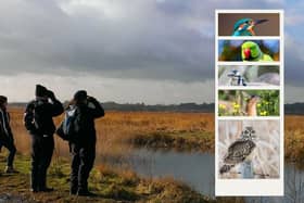 The RSPB Big Garden Birdwatch is the world’s largest garden wildlife survey, an annual event that transforms regular bird-lovers into citizen scientists for a single weekend.  