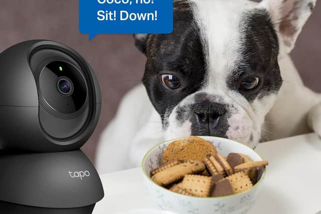 They're really useful as pet monitors, and the two-way audio is brilliant