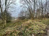 Civcon Civil Engineering is seeking permission to built on a site in between the ring road at Bramley and Stanningley bypass.