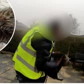 An Amazon delivery driver was caught on a doorbell camera picking up and walking off with an owner's cat