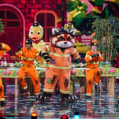 The latest celeb to be unmasked on The Masked Singer was Red Panda! 