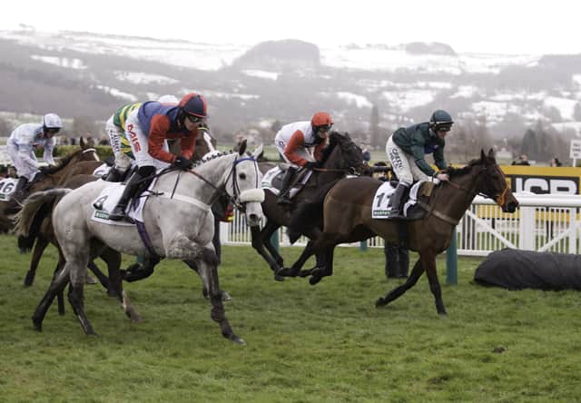 The sound of thundering hooves will echo across Gloucestershire, entertaining thousands – except four who will be soaking up the sun in Spain.