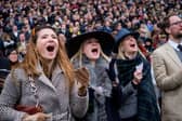 A sports betting website is offering four people an all-expenses paid trip to watch the Cheltenham Festival from sunny Benidorm.