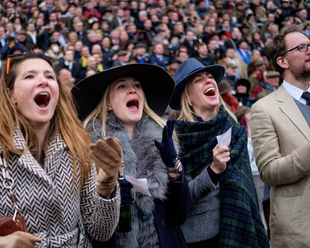 A sports betting website is offering four people an all-expenses paid trip to watch the Cheltenham Festival from sunny Benidorm.
