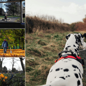 Whether you’re a long-time resident or a weekend visitor, there is no denying that Leeds is a world-class city for dog owners.