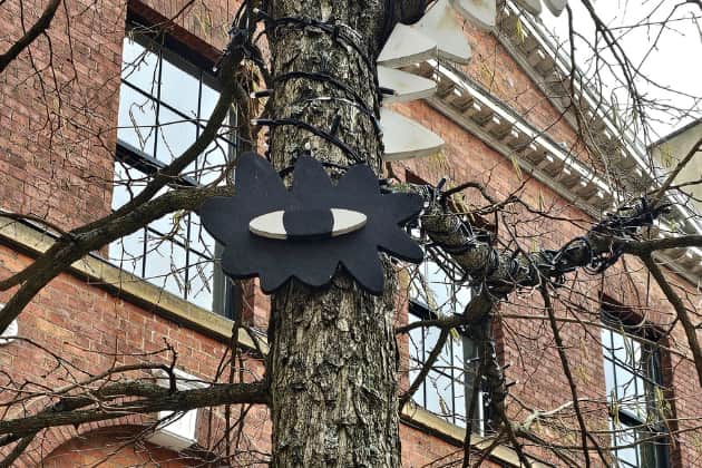 Take a look amongst the trees on Albion Place next time you're walking through, and you'll see some of Leeds' oldest residents staring back at you. Literally.