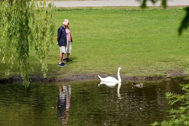 People enjoy the warm sunshine in the gardens at Temple Newsam, Leeds  Picture taken by Yorkshire Post Photographer Simon Hulme 11th June 2025