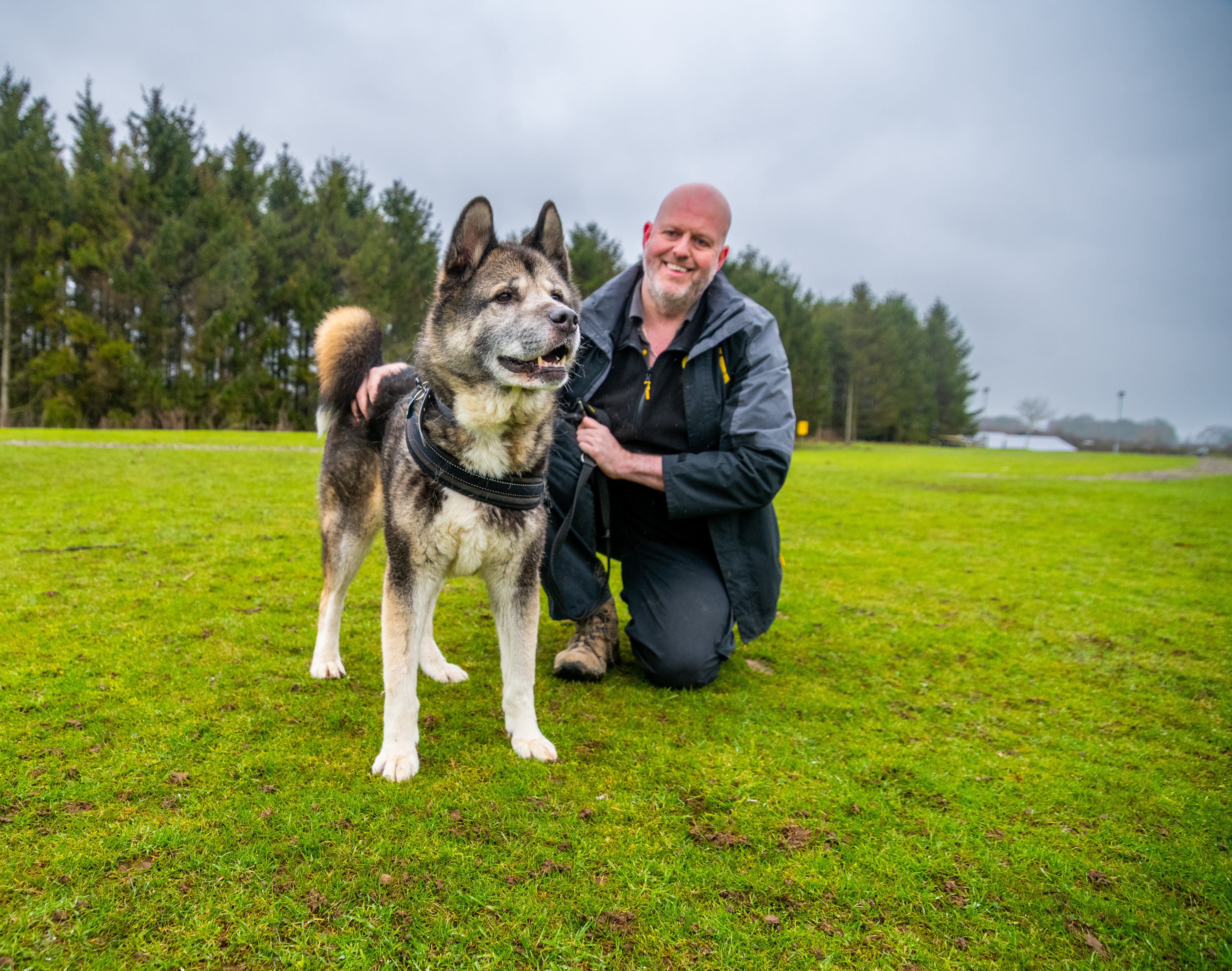 Meet 'brilliant' golden oldie Teddy the 13-year-old Akita searching for a new home at Leeds Dogs Trust