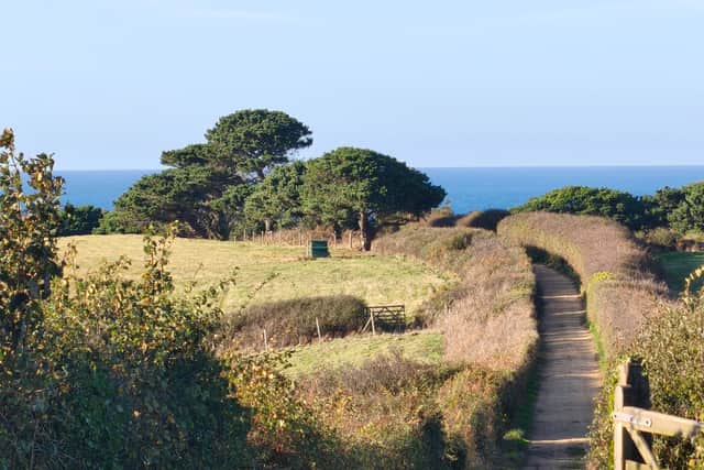 The whole of Herm can be walked around in a few hours. Car-free bliss.