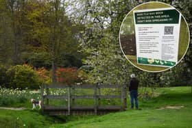 Bird flu has been detected at Temple Newsam in Leeds.