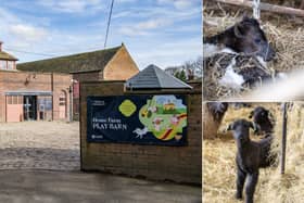Spring has officially sprung in East Leeds as Temple Newsam’s Home Farm welcomes its first wave of new arrivals.
