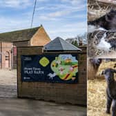 Spring has officially sprung in East Leeds as Temple Newsam’s Home Farm welcomes its first wave of new arrivals.