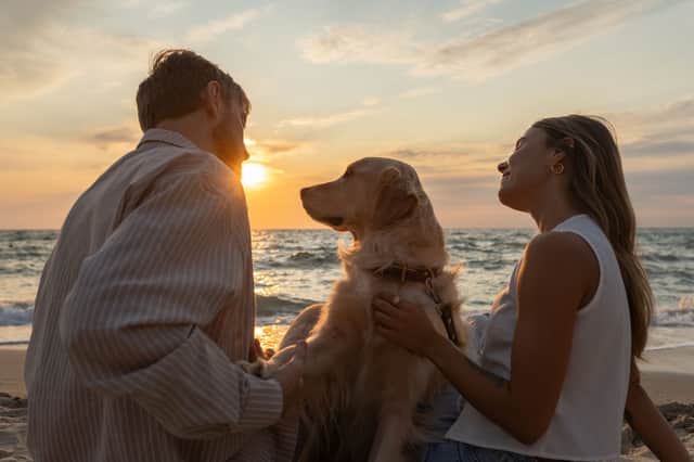 More British travelling dog owners are choosing staycations that prioritise relaxation and healthier daily routines for both, pet and passenger.