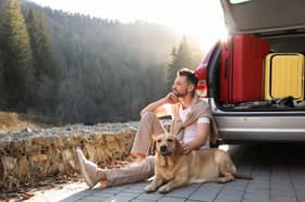 Hotel searches using the ‘pet-friendly’ filter are up 28% year on year.