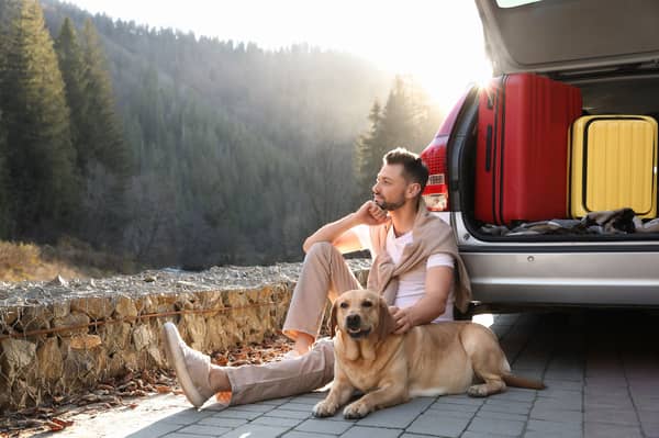 Hotel searches using the ‘pet-friendly’ filter are up 28% year on year.