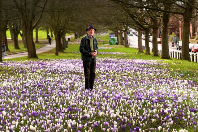 During his visit to Buckingham Palace to collect his MBE, the King’s advice to John was simple: 'Do plant plenty of trees.'"  