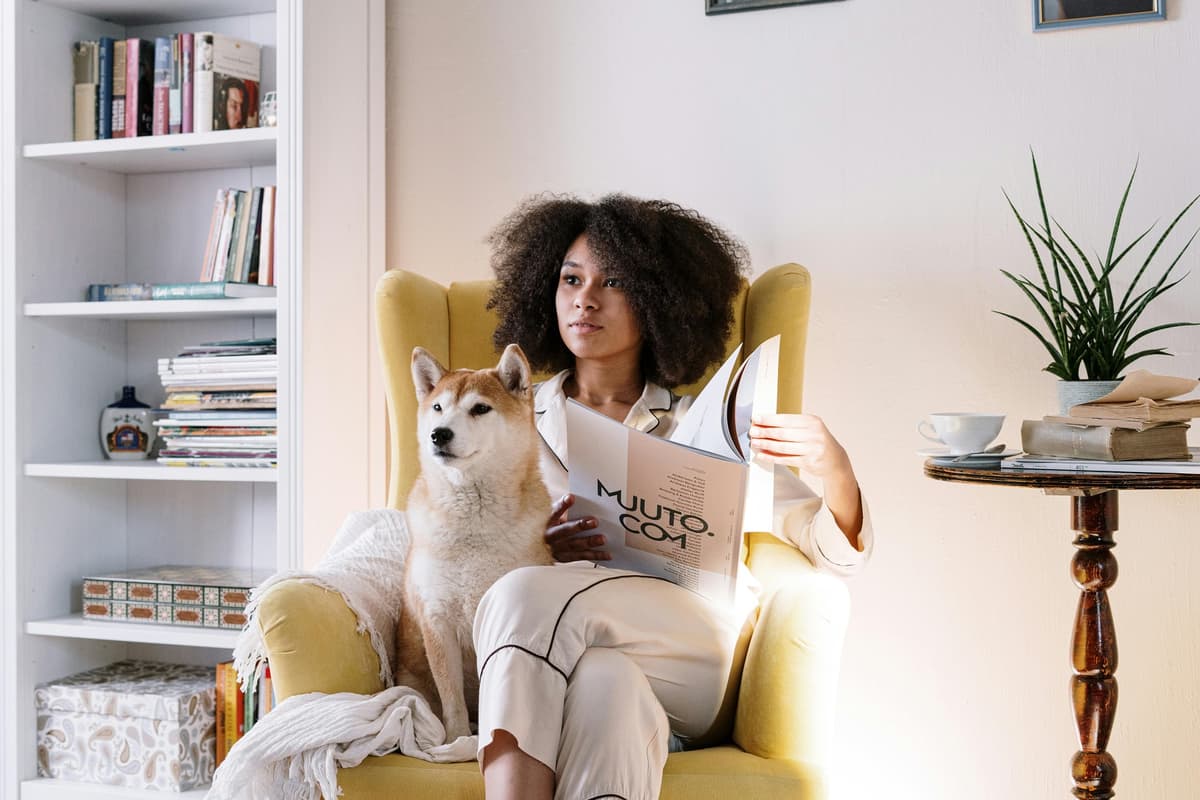 The everyday noises in your home that could be damaging your dog's hearing ...