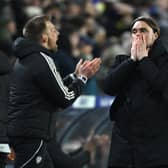 Daniel Farke grew increasingly frustrated during Saturday's defeat.