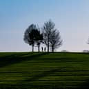 Leeds City Council has drawn up plans to prevent damage to parts of Roundhay Park from anti-social behaviour.