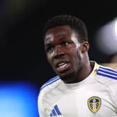 SPARK: Offered by Leeds United winger Willy Gnonto, above, and also Anton Stach at present.