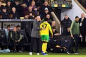 ANOTHER ONE: Norwich City boss Philippe Clement consoles Canaries striker Mohamed Toure as he is forced off injured against Sheffield Wednesday.