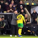ANOTHER ONE: Norwich City boss Philippe Clement consoles Canaries striker Mohamed Toure as he is forced off injured against Sheffield Wednesday.