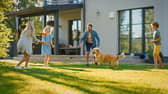 5 best QVC sale products to get your garden ready for spring. Stock image.