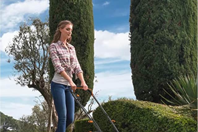 The Worx WG737E