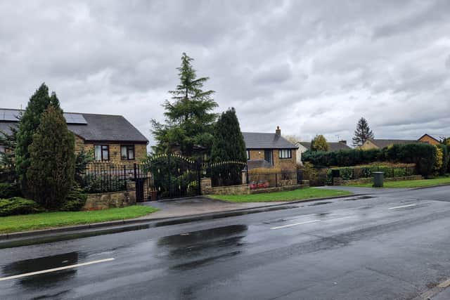 Some of the city's most expensive properties hide behind high hedges and secure garden walls.