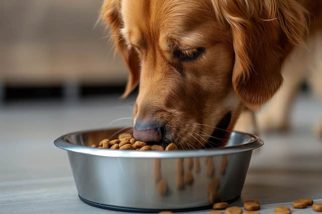 Buying dog food online can work out cheaper - but sourcing supplements can save a small fortune