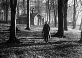 An autumn scene at Meanwood Colony in November 1948.