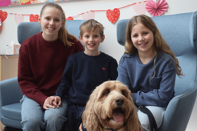 Frankie is trained to provide comfort and companionship to patients at the centre