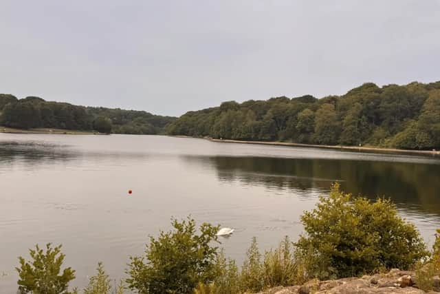 Upper Lake and Waterloo Lake Circular